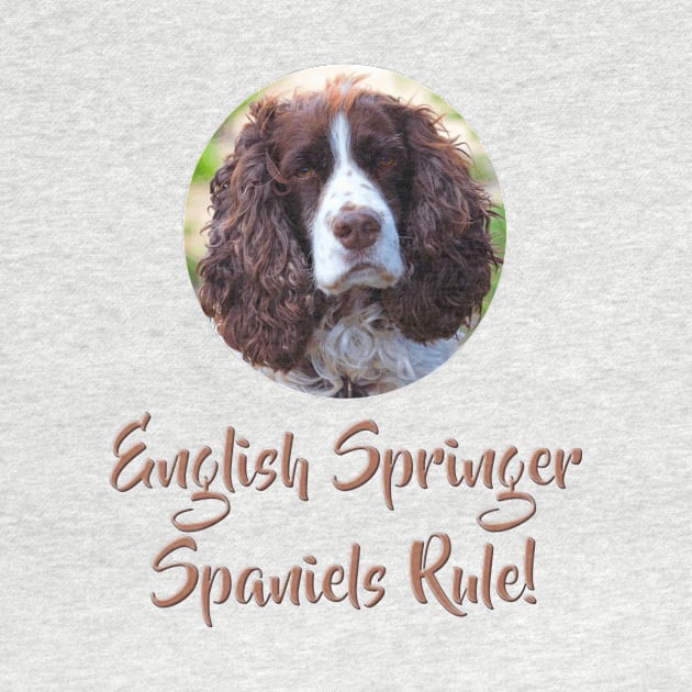 English Springer Spaniels Rule! by Naves